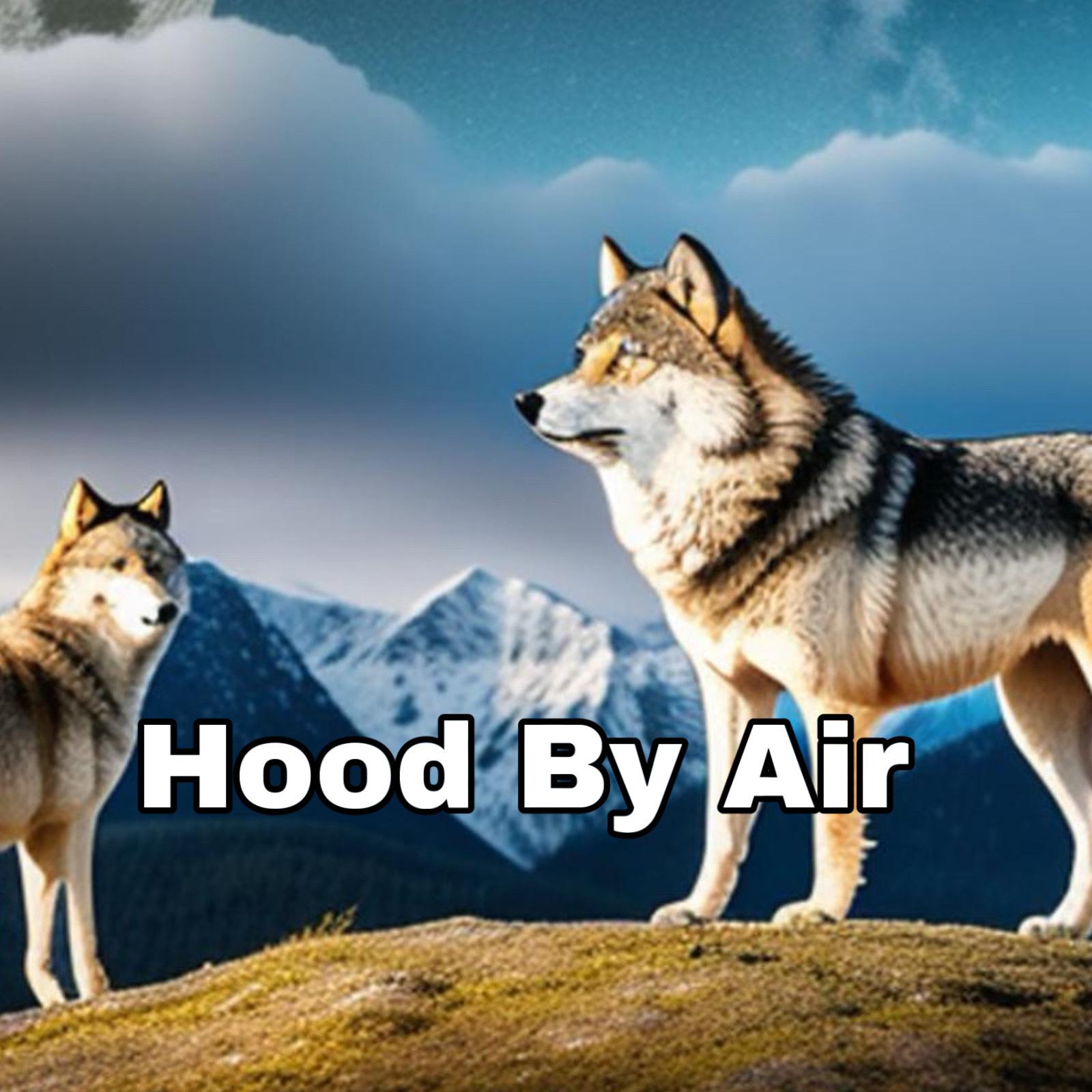 Hood By Air