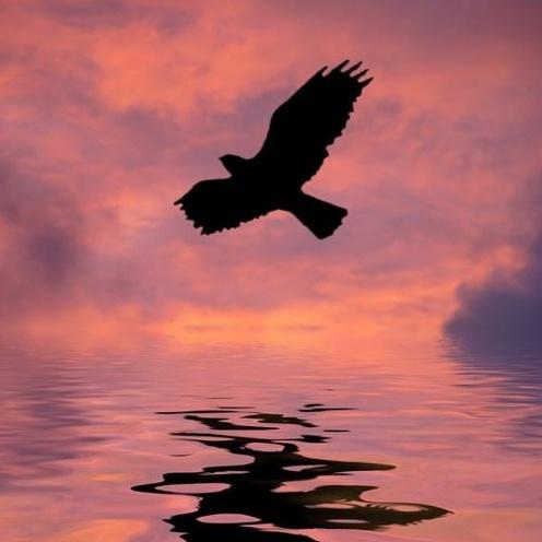 Break Free