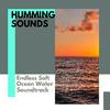 Wave of Bliss Ocean Music - Inside Birds Light Sound