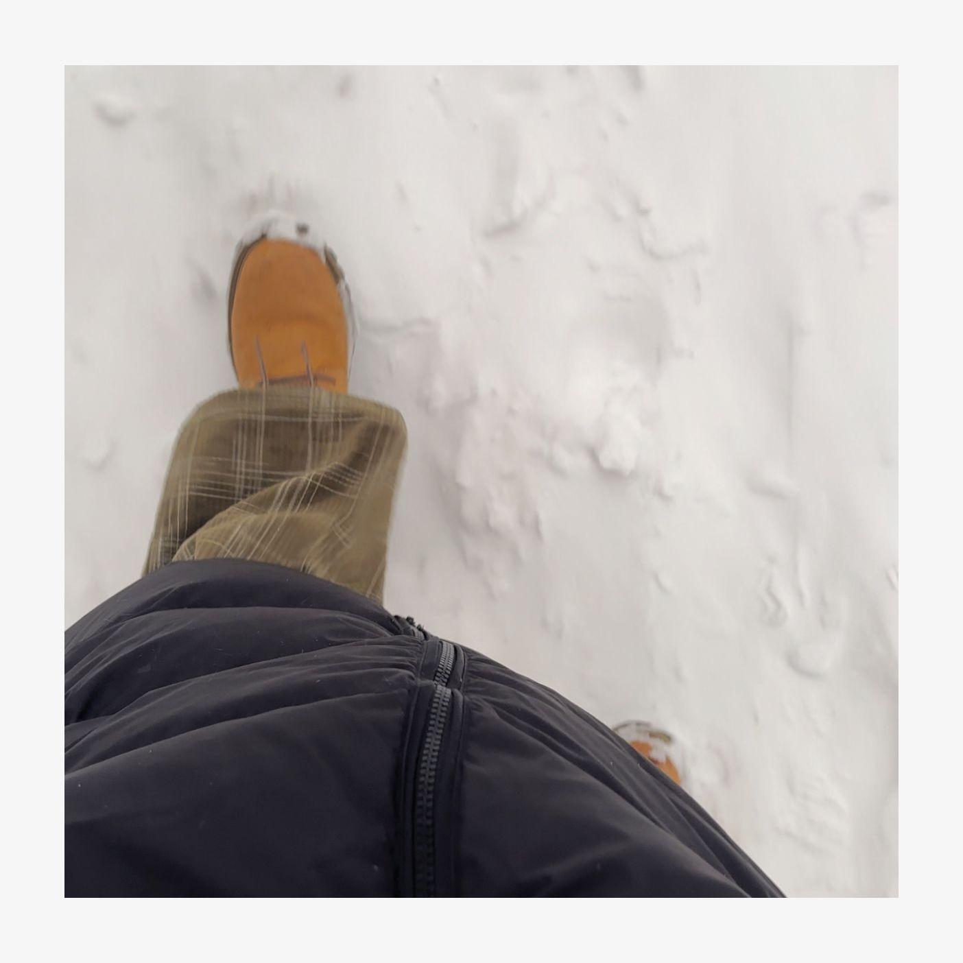 暴风雪呆在家里好无聊啊