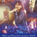 ZARD What a beautiful memory 2008