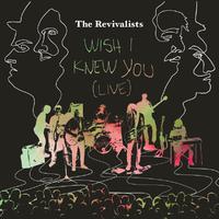 Wish I Knew You - the Revivalists (karaoke)