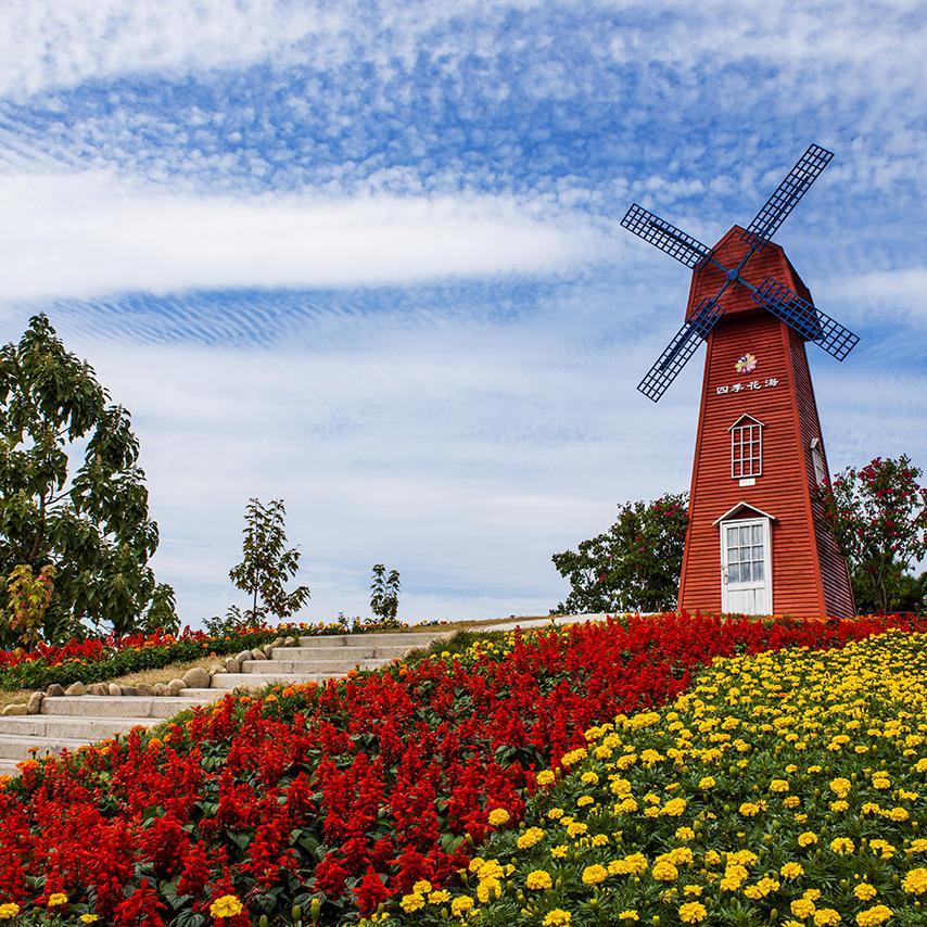 三叶-春娇与志明