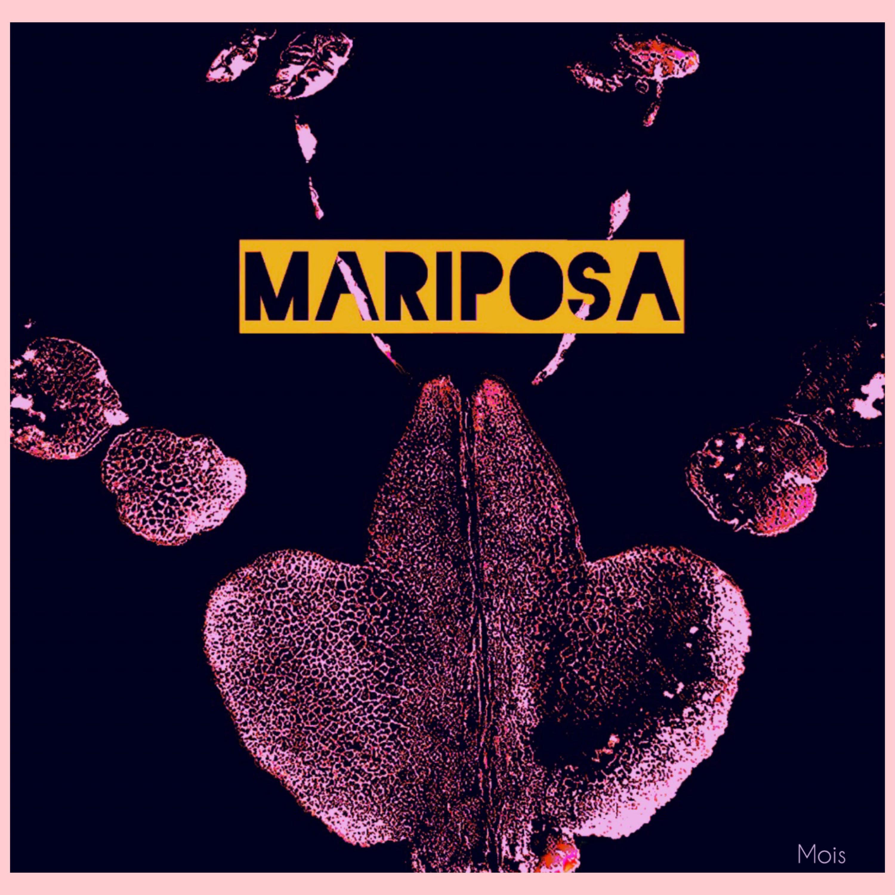 Moi - Mariposa