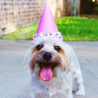 你是想要品尝的糖果  | 萌系电音