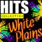 Hits Collection: White Plains专辑