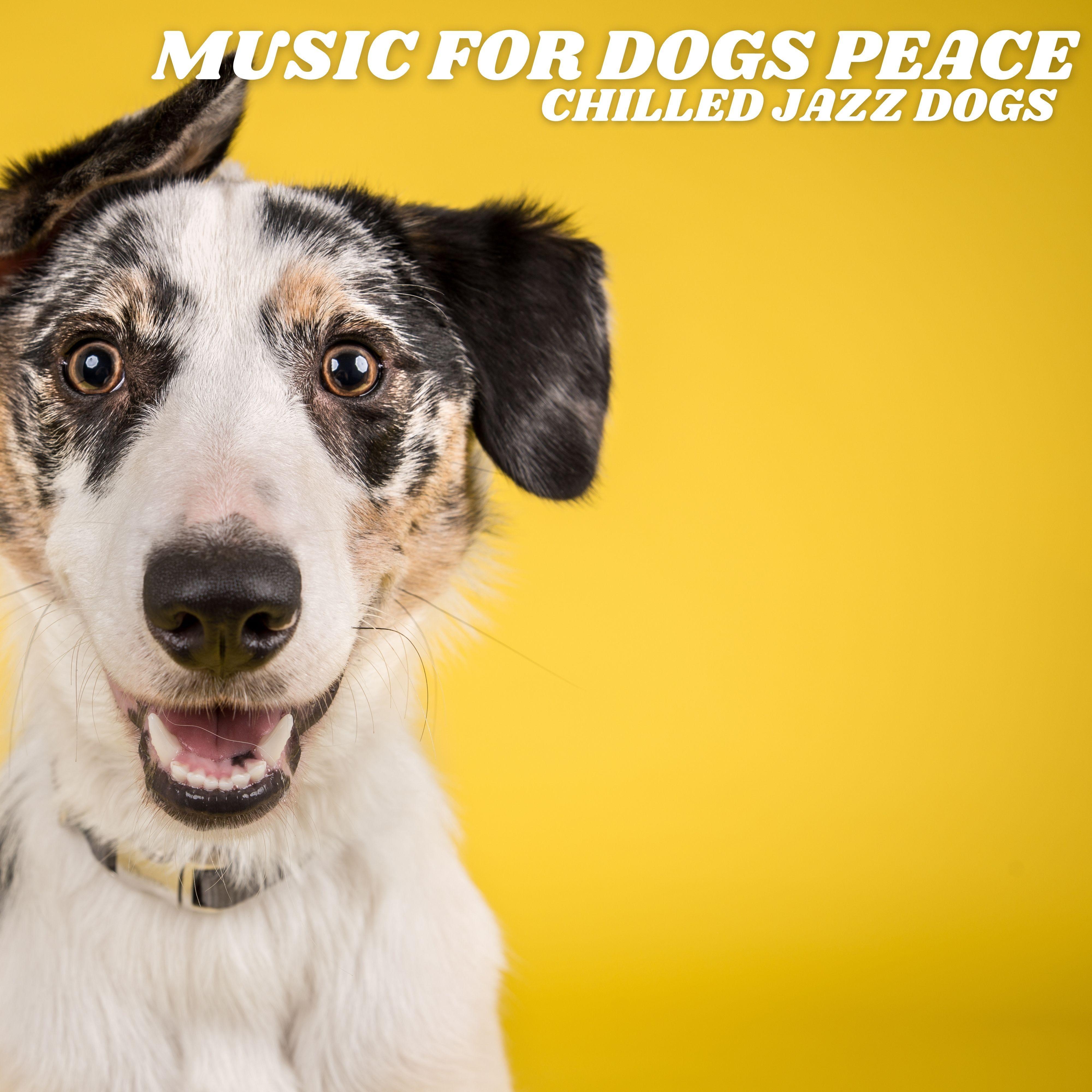 Music For Dogs Peace - Woofy Woofy Jazz