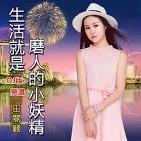 田丽颖 - 生活就是磨人的小妖精（DJ版伴奏）