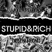 STUPID&RICH