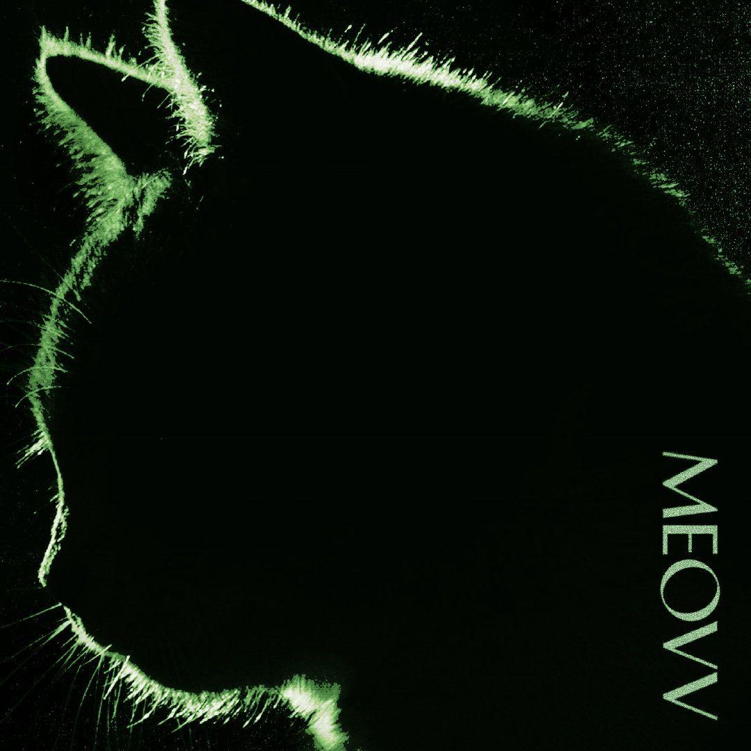 MEOW (Cover by MEOVV)