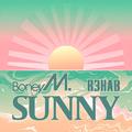 Sunny