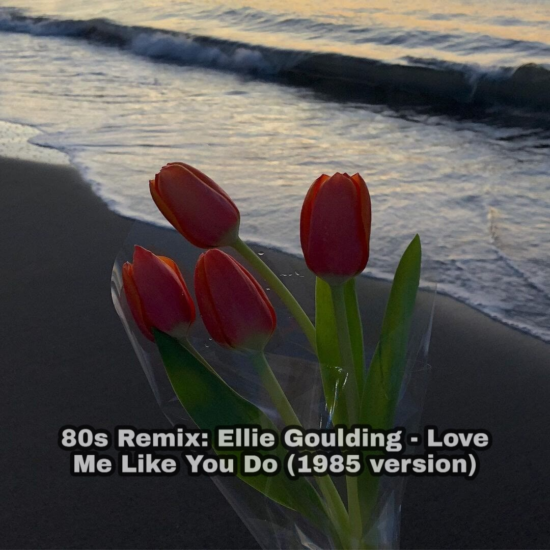 Ellie Goulding-Love Me Like You Do (80s Remix)(zZAZz / CHENYI remix)