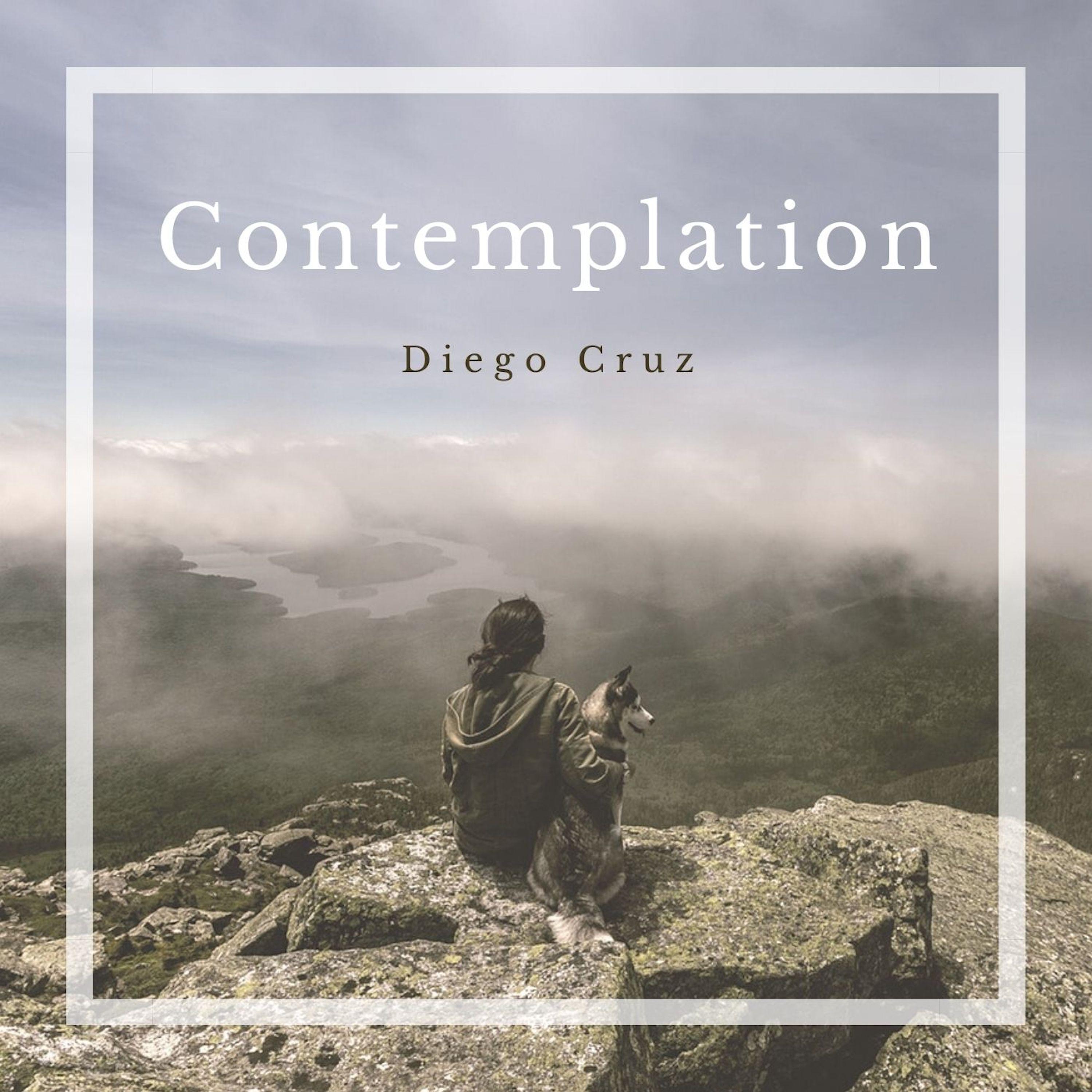 Contemplation