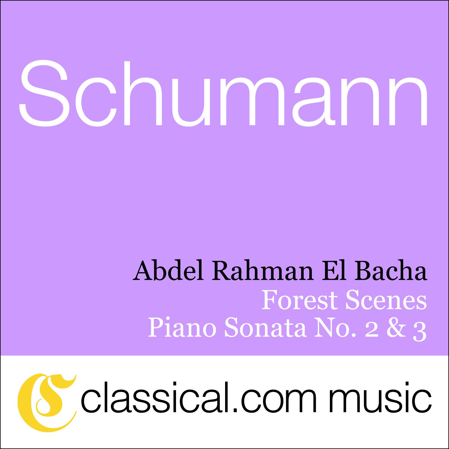Robert Schumann, Piano Sonata No. 2 In G Minor, Op. 22