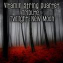 Vitamin String Quartet Tribute to Twilight: New Moon专辑
