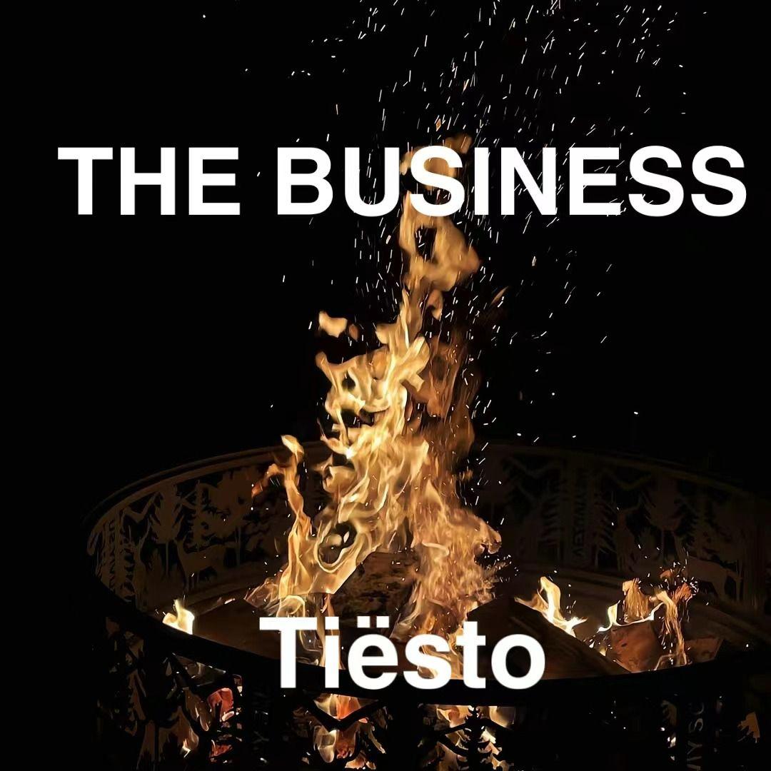 Tiësto-The Business (当风与海两清/雨萌/被遗忘的溪泽/是听风 Remix）
