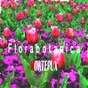 Florabotanica专辑