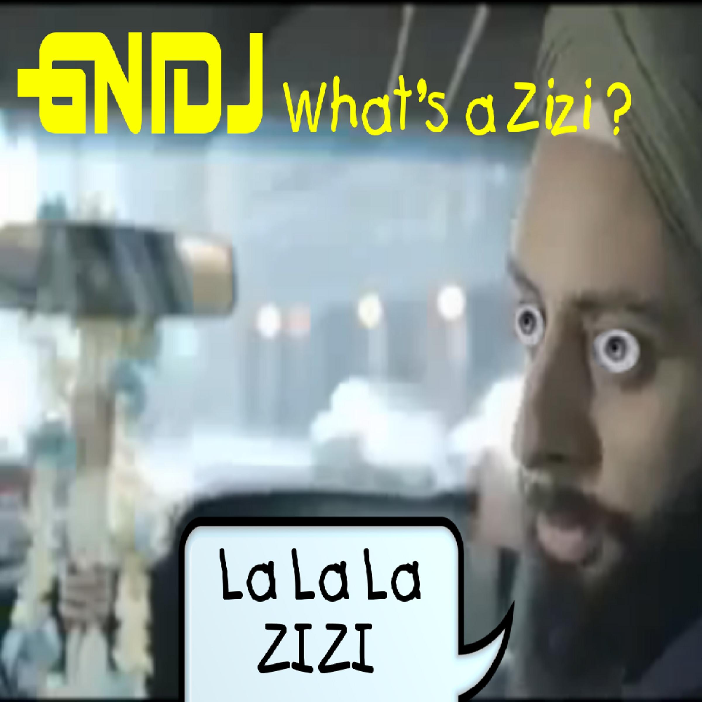 What Is a Zizi