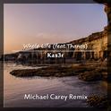 Whole Life (Michael Carey Remix)专辑