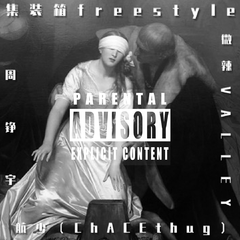 集装箱freestyle