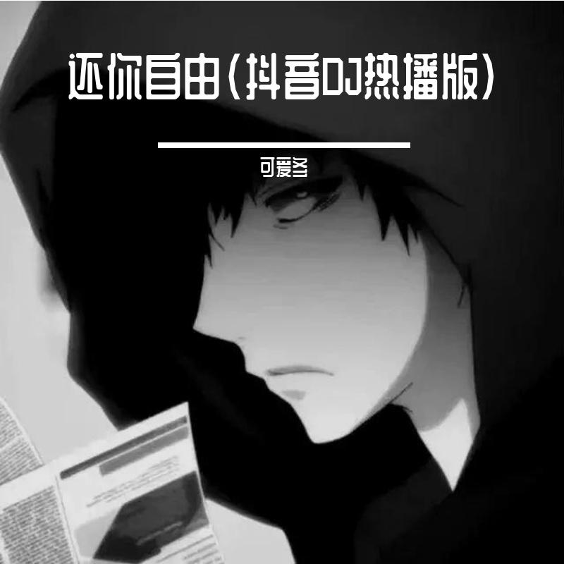 还你自由（抖音DJ热播版）