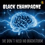 She Don't Need No Brainstorm专辑