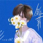 专辑《雏菊》