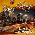 Gipsy Kings Live in Los Angeles专辑
