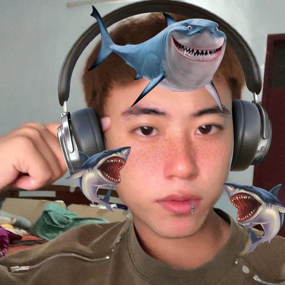 火鸡-六月的雨（PG Hang remix）