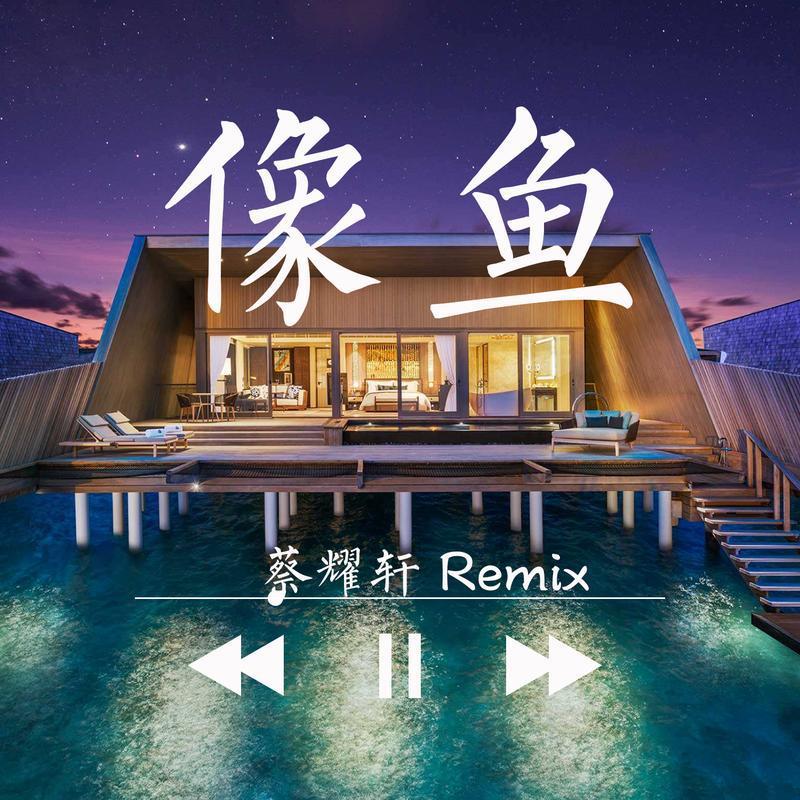 像鱼（Remix）封面