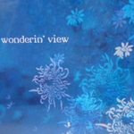 Wonderin' View专辑