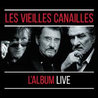 Les Vieilles Canailles (Jacques Dutronc) - La fille du père Noël (live) (Karaoke Version) 带和声伴奏