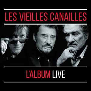 Les Vieilles Canailles (Jacques Dutronc) - La fille du père Noël (live) (Karaoke Version) 带和声伴奏 （降5半音）