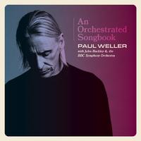 Broken Stones - Paul Weller