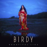 Birdy - Wild Horses (Official Instrumental) 原版无和声伴奏