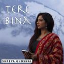 Tere Bina - Single专辑