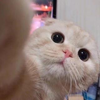 Bui