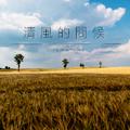 清风的问候 - Single