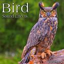 Bird Sound Effects, Vol. 2专辑