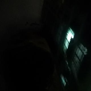 空心
