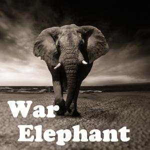 war elephant （升4半音）