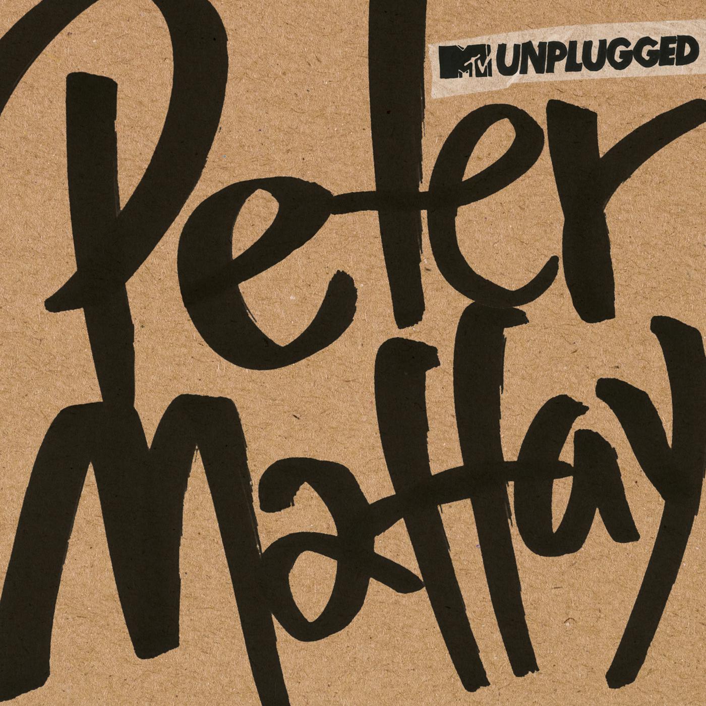 Peter Maffay - Freiheit, die ich meine (MTV Unplugged)