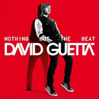 Without You - David Guetta Ft  Usher ( Instrumental )