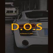 D.O.S（Danger or shame）