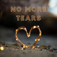 男伴奏 多伴唱版 No More Tears