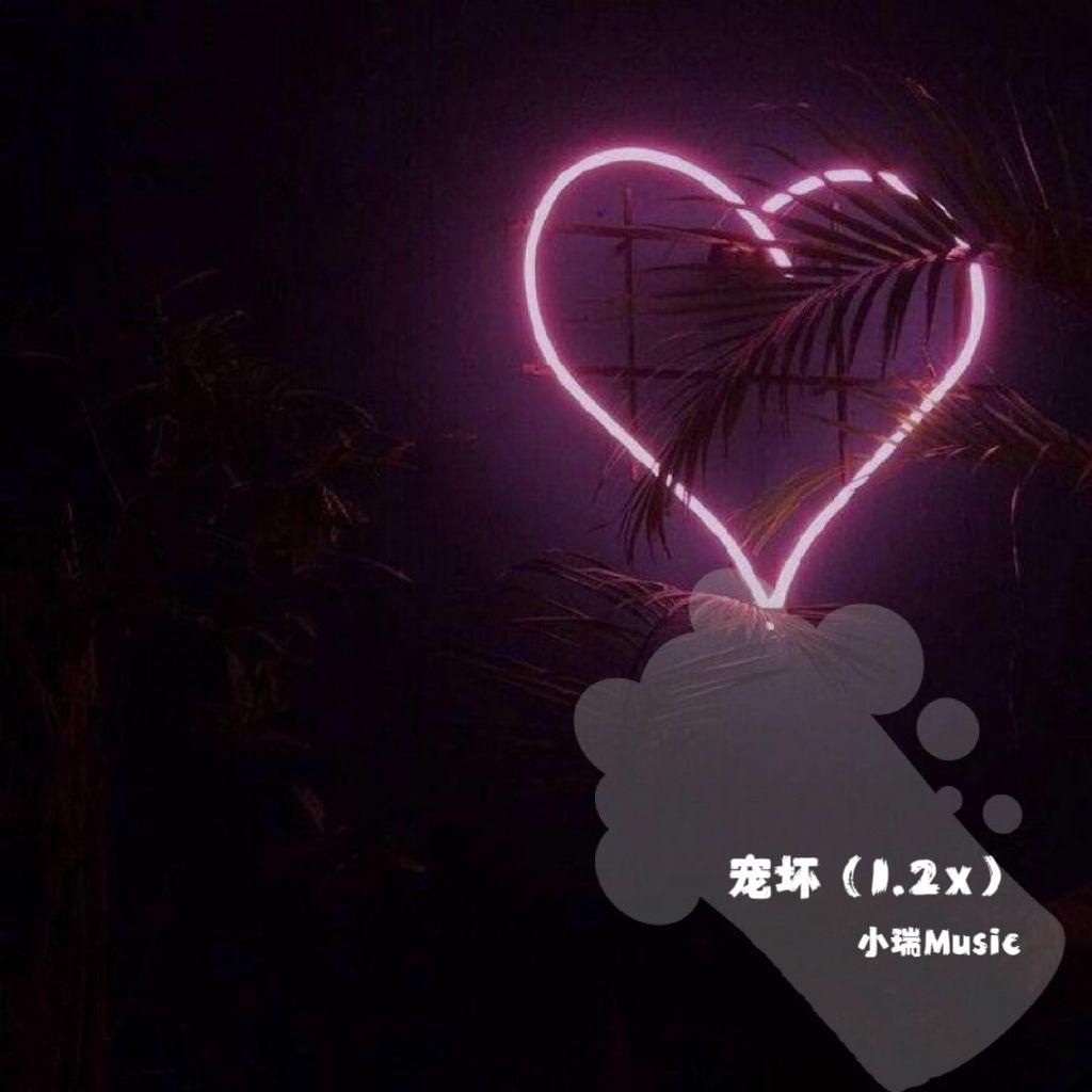 宠坏（可不可以把你宠坏）专辑