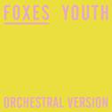 Youth (Orchestral Version)专辑