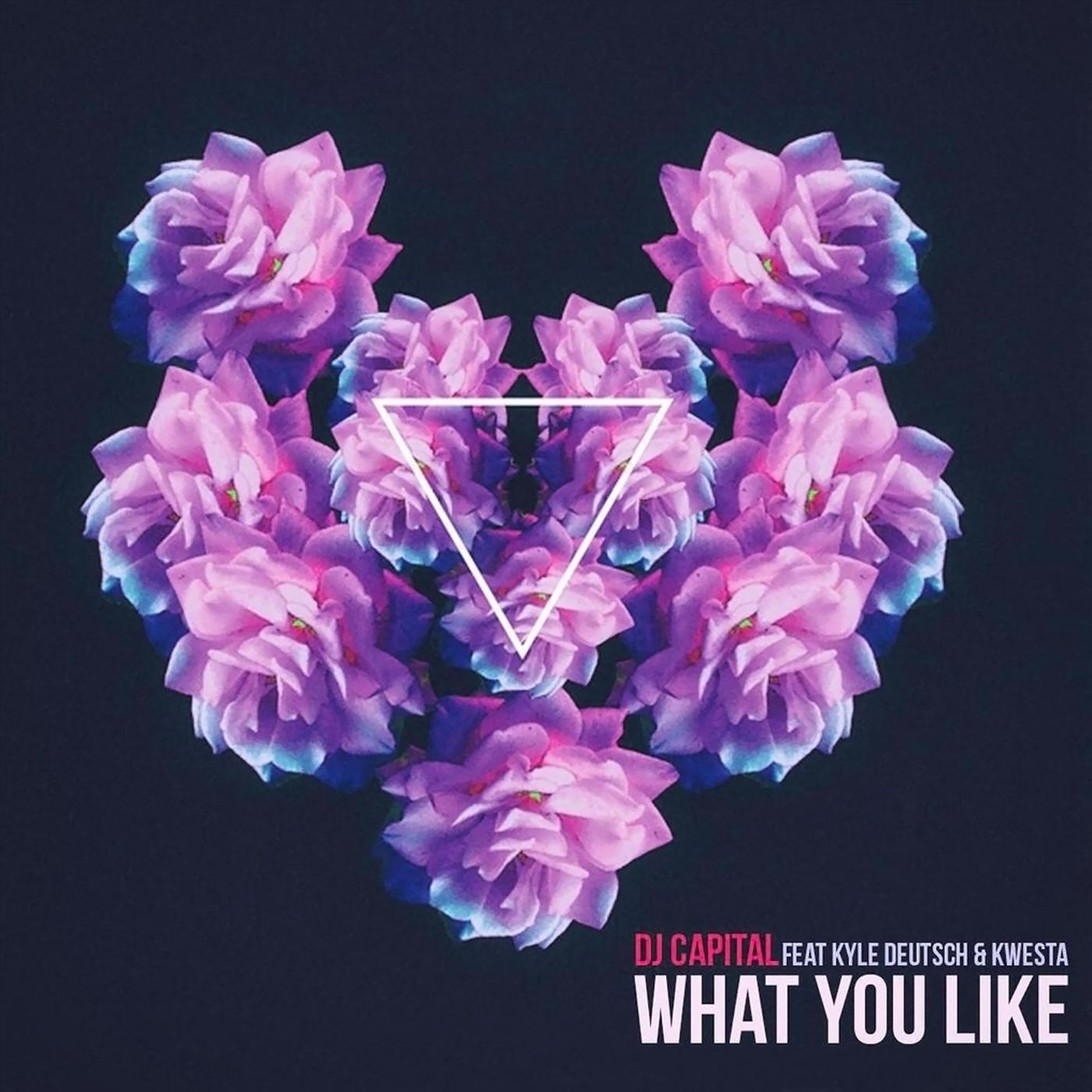 DJ Capital - What You Like (feat. Kwesta & Kyle Deutsch)