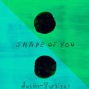Shape of You (One Dance & Work)专辑