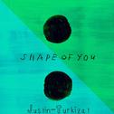 Shape of You (One Dance & Work)